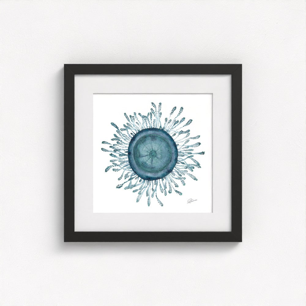 jellyfish print on wall in a black frame  on white wall