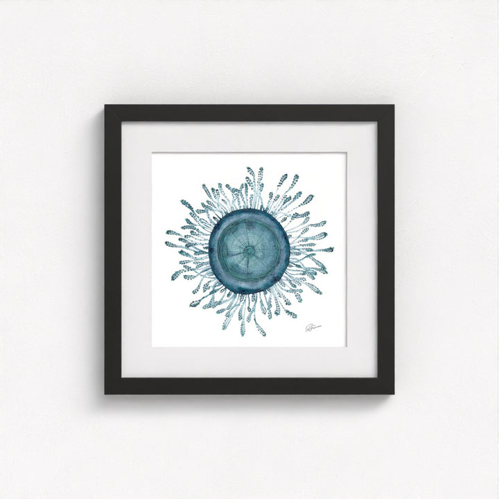 jellyfish print on wall in a black frame  on white wall