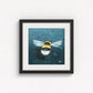 Buff-Tailed Bumblebee Fine Art Print | Premium Collection