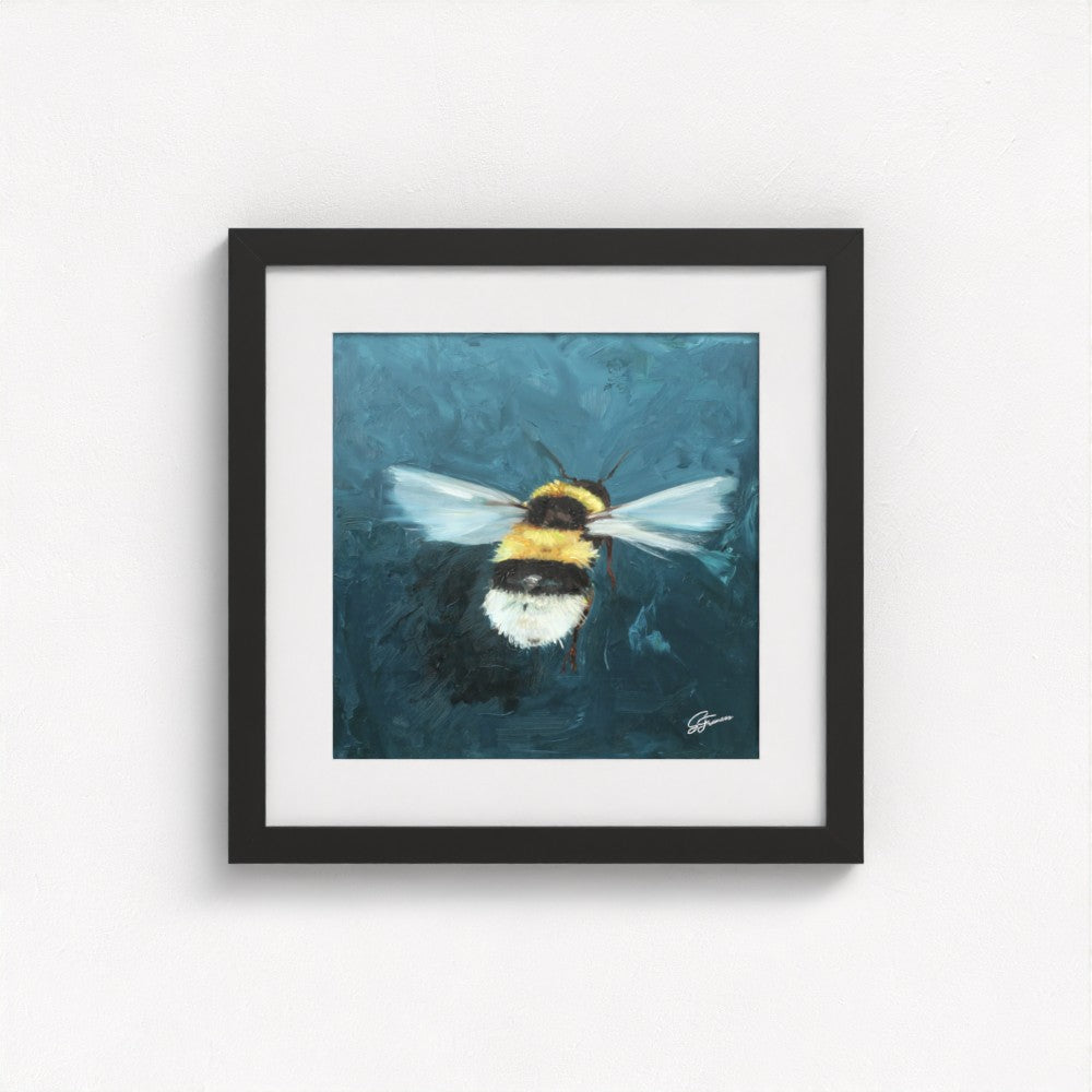 Buff-Tailed Bumblebee Fine Art Print | Premium Collection