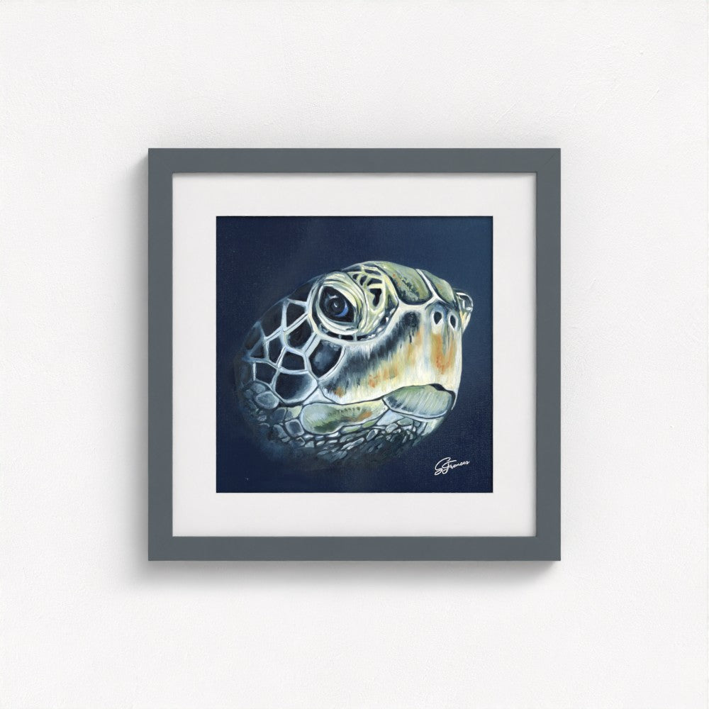 Turtle Head Fine Art Print | Premium Collection