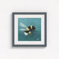 Bumblebee in Flight Fine Art Print | Premium Collection