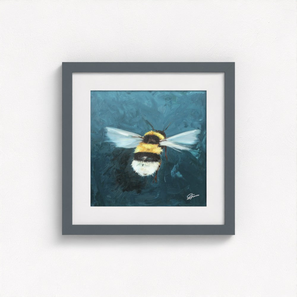 Buff-Tailed Bumblebee Fine Art Print | Premium Collection