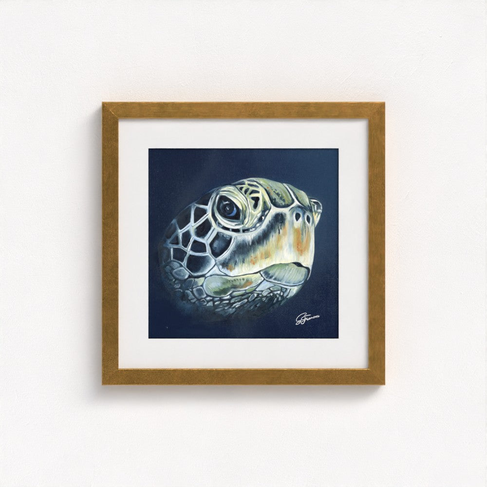 Turtle Head Fine Art Print | Premium Collection
