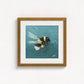 Bumblebee in Flight Fine Art Print | Premium Collection