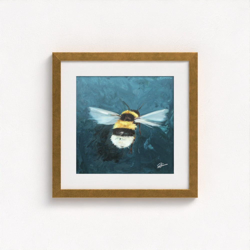 Buff-Tailed Bumblebee Fine Art Print | Premium Collection