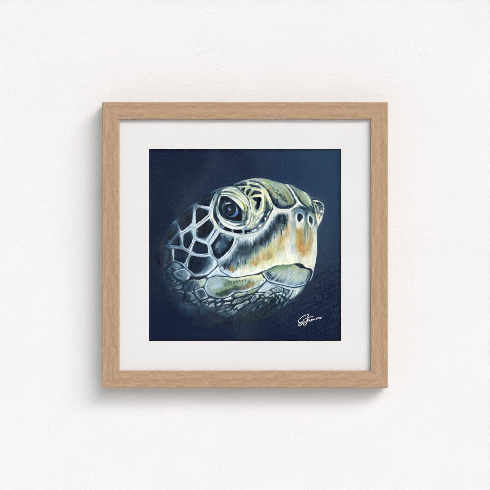 Turtle Head Fine Art Print | Premium Collection