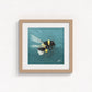 Bumblebee in Flight Fine Art Print | Premium Collection