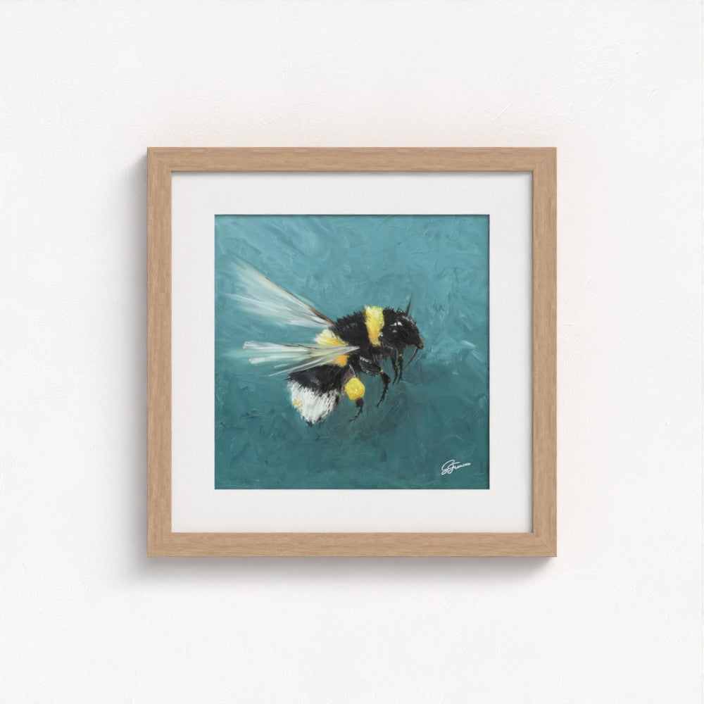 Bumblebee in Flight Fine Art Print | Premium Collection