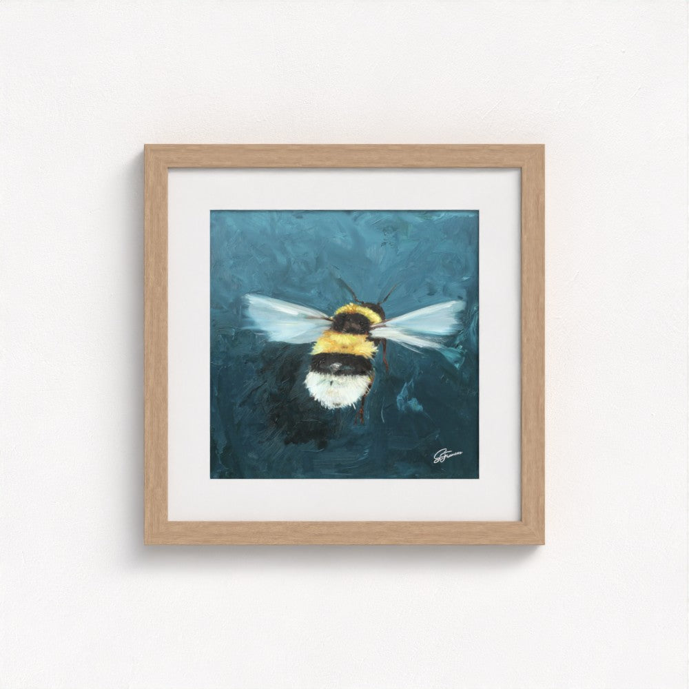 Buff-Tailed Bumblebee Fine Art Print | Premium Collection