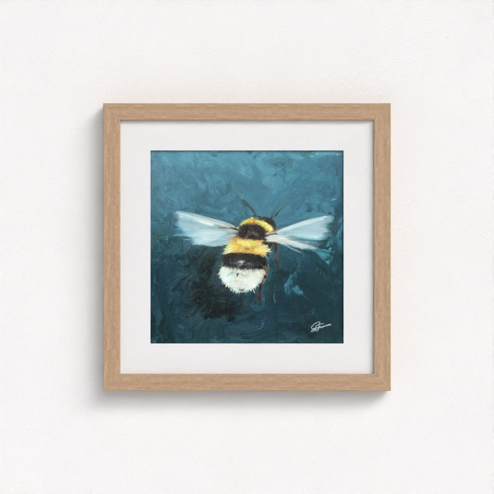 Buff-Tailed Bumblebee Fine Art Print | Premium Collection