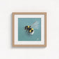 Bumblebee in Flight Fine Art Print | Premium Collection