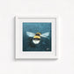Buff-Tailed Bumblebee Fine Art Print | Premium Collection