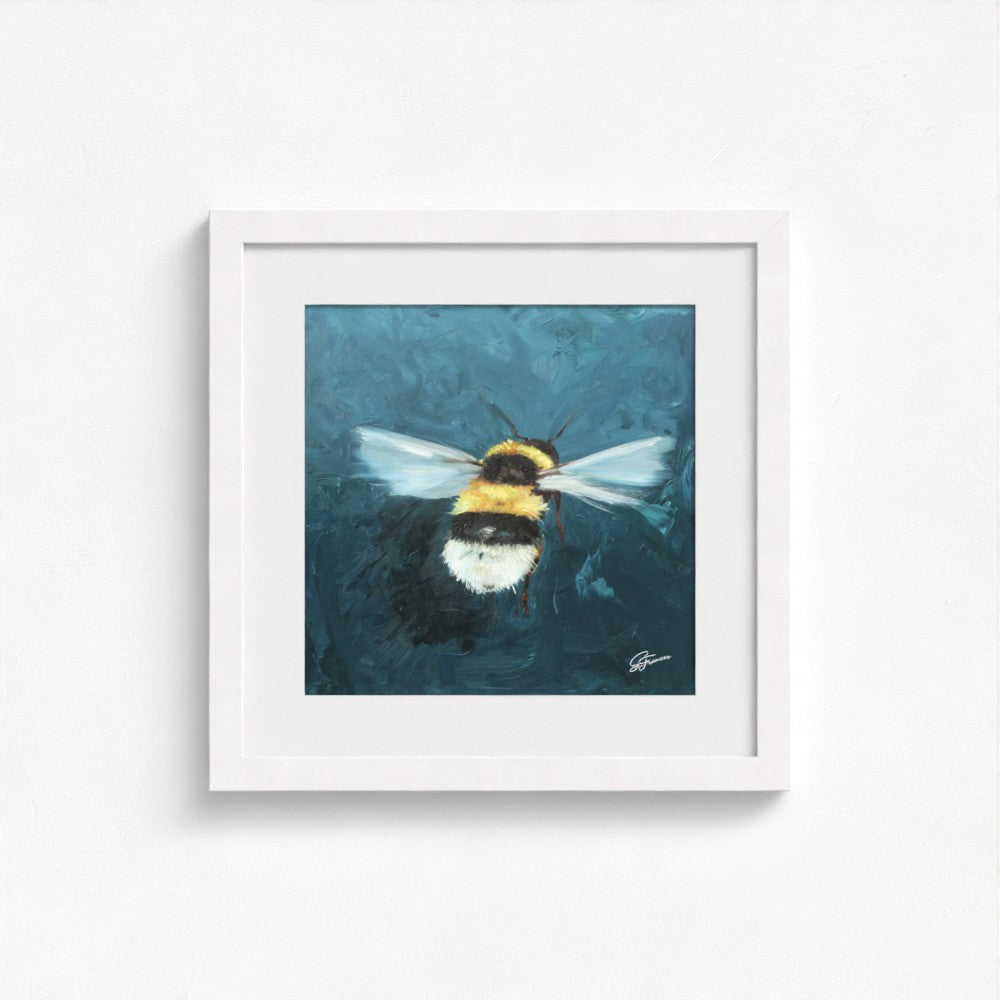 Buff-Tailed Bumblebee Fine Art Print | Premium Collection