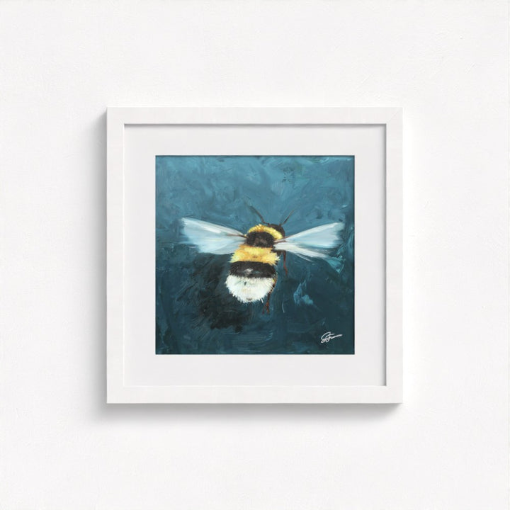Buff-Tailed Bumblebee Fine Art Print | Premium Collection