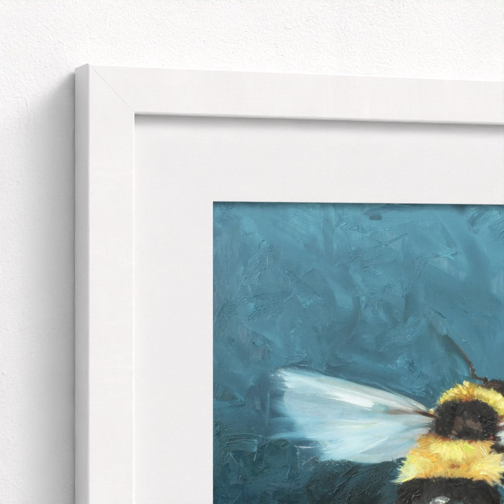 Buff-Tailed Bumblebee Fine Art Print | Premium Collection