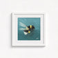 Bumblebee in Flight Fine Art Print | Premium Collection