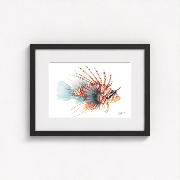 Lionfish Watercolour Fine Art Print | Premium Collection