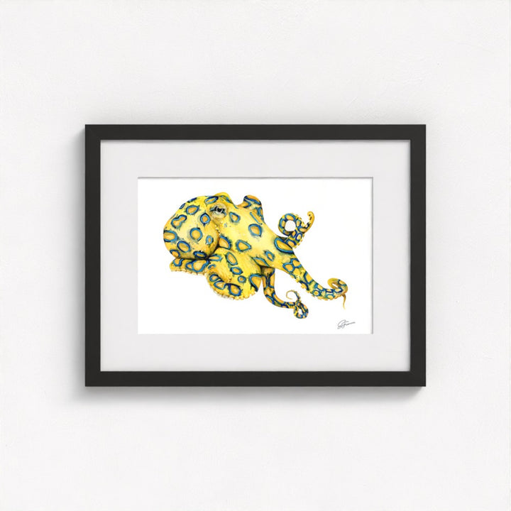 Blue Ringed Octopus Fine Art Print | Premium Collection