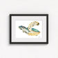 Hawksbill Sea Turtle Fine Art Print | Premium Collection