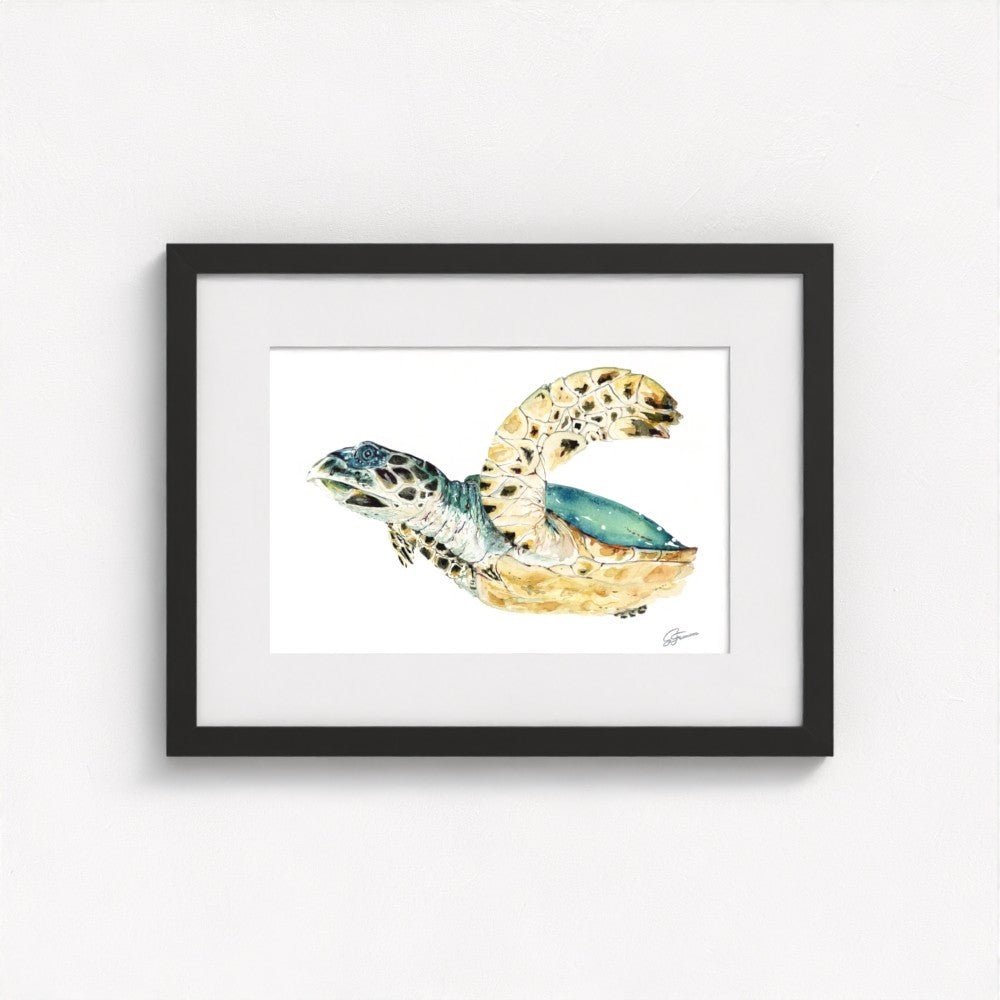 Hawksbill Sea Turtle Fine Art Print | Premium Collection