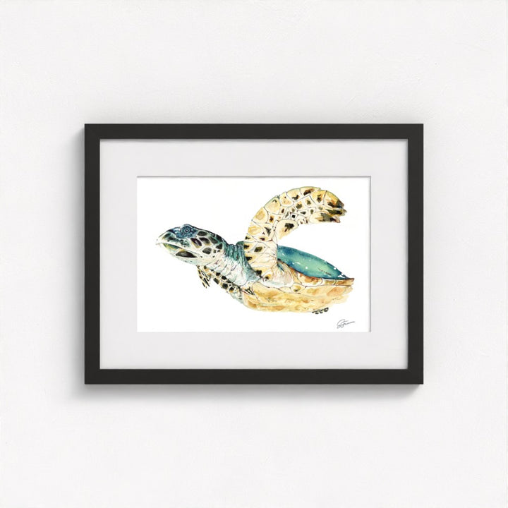 Hawksbill Sea Turtle Fine Art Print | Premium Collection