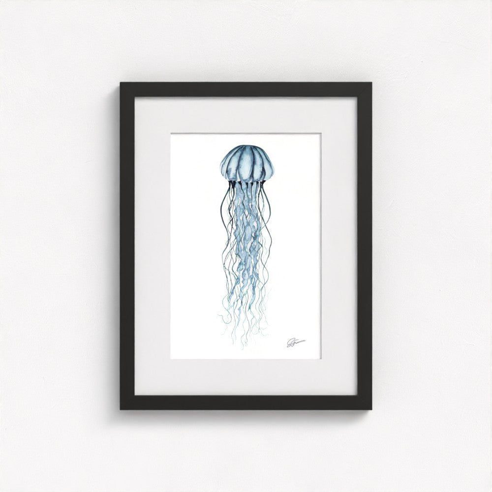 jellyfish print on wall in black frame  on white wall