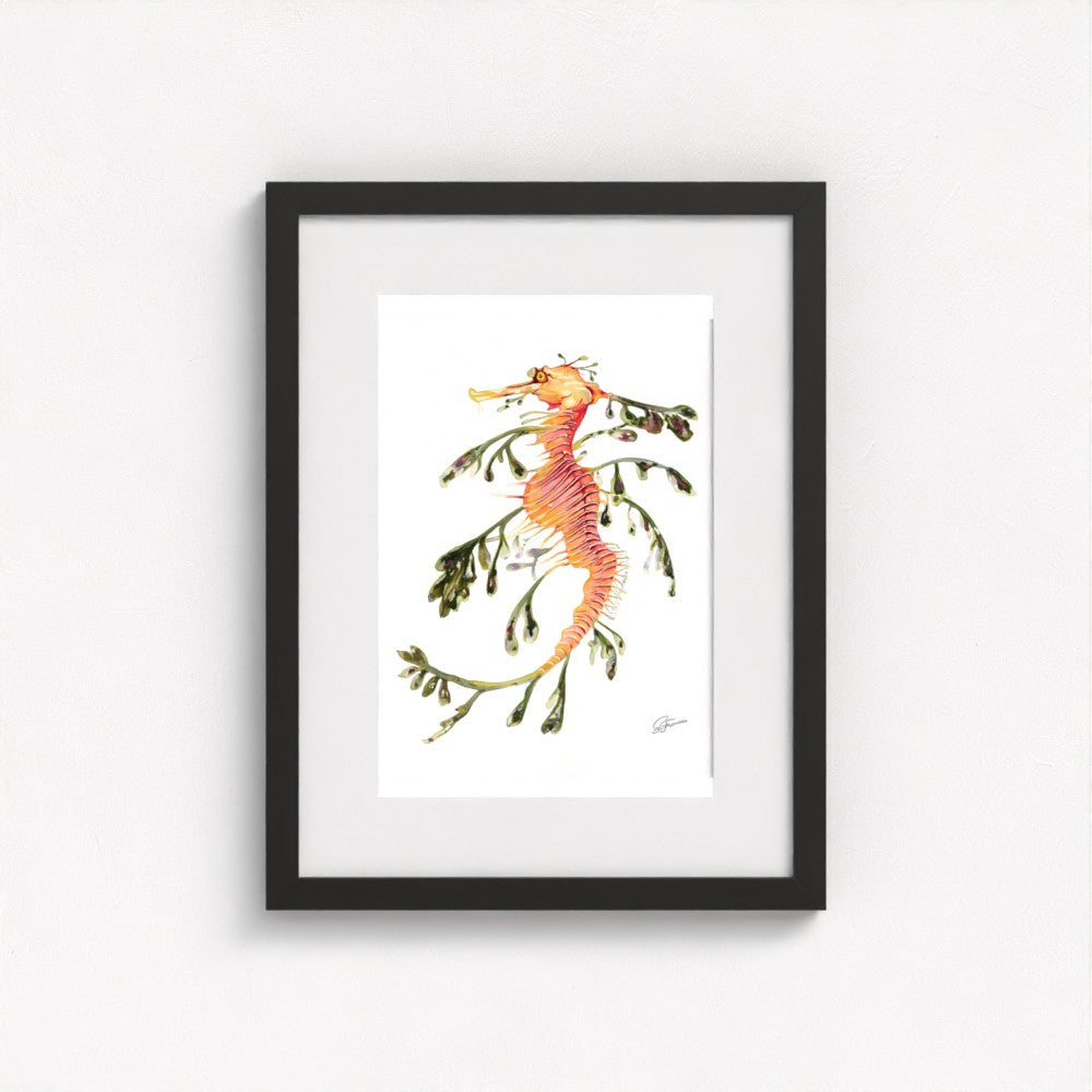 Leafy Seadragon Fine Art Print | Premium Collection