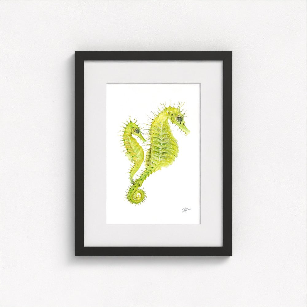 Spiny Seahorse Fine Art Print | Premium Collection