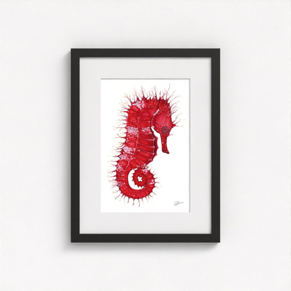 Seahorse Serenade Fine Art Print | Premium Collection