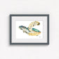 Hawksbill Sea Turtle Fine Art Print | Premium Collection