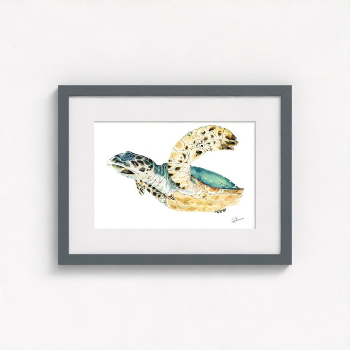 Hawksbill Sea Turtle Fine Art Print | Premium Collection
