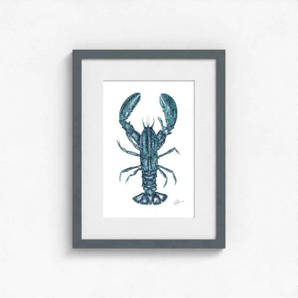 lobster print on wall in grey frame  on white wall