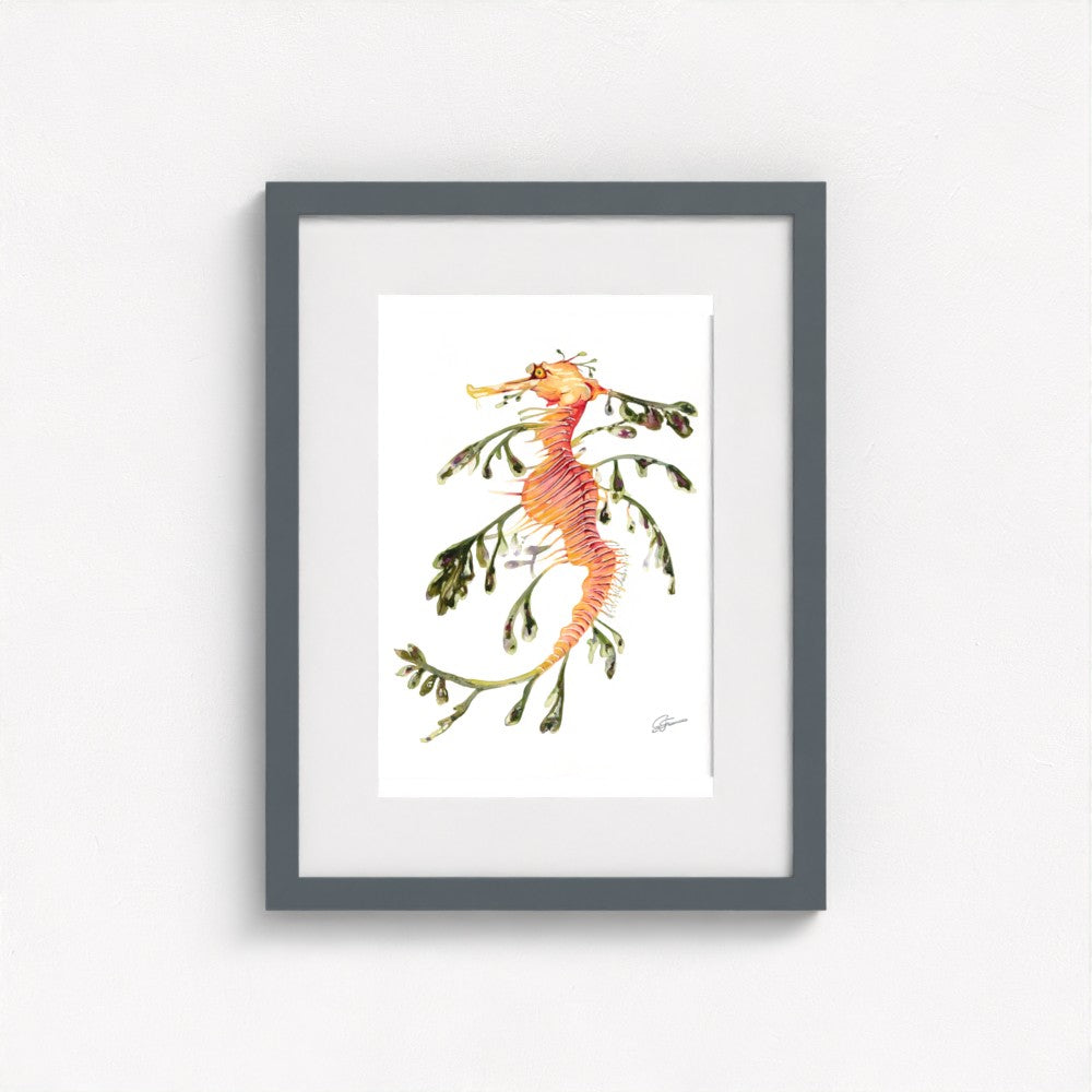 Leafy Seadragon Fine Art Print | Premium Collection