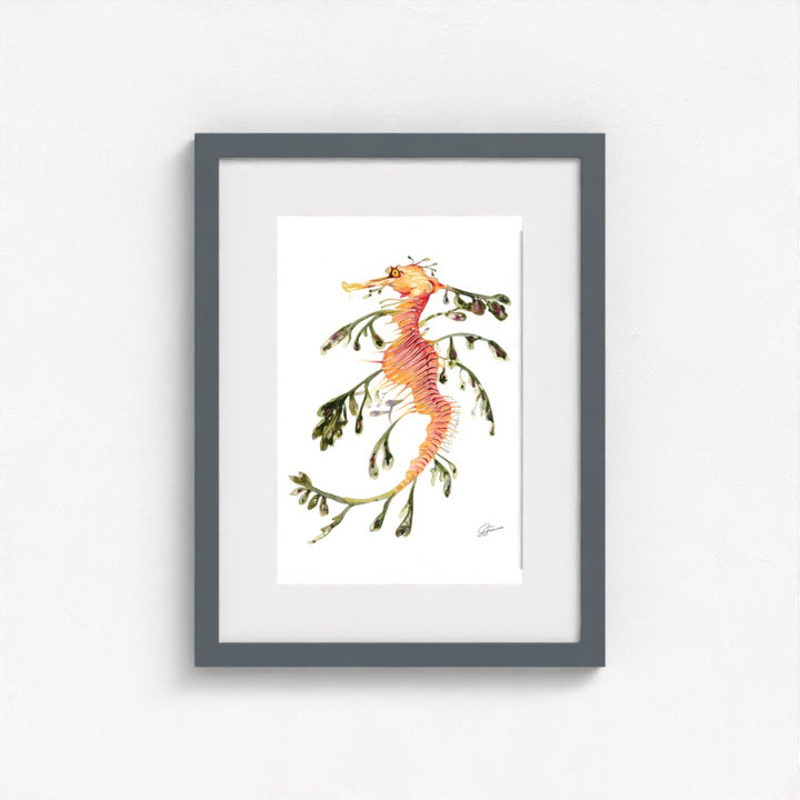Leafy Seadragon Fine Art Print | Premium Collection