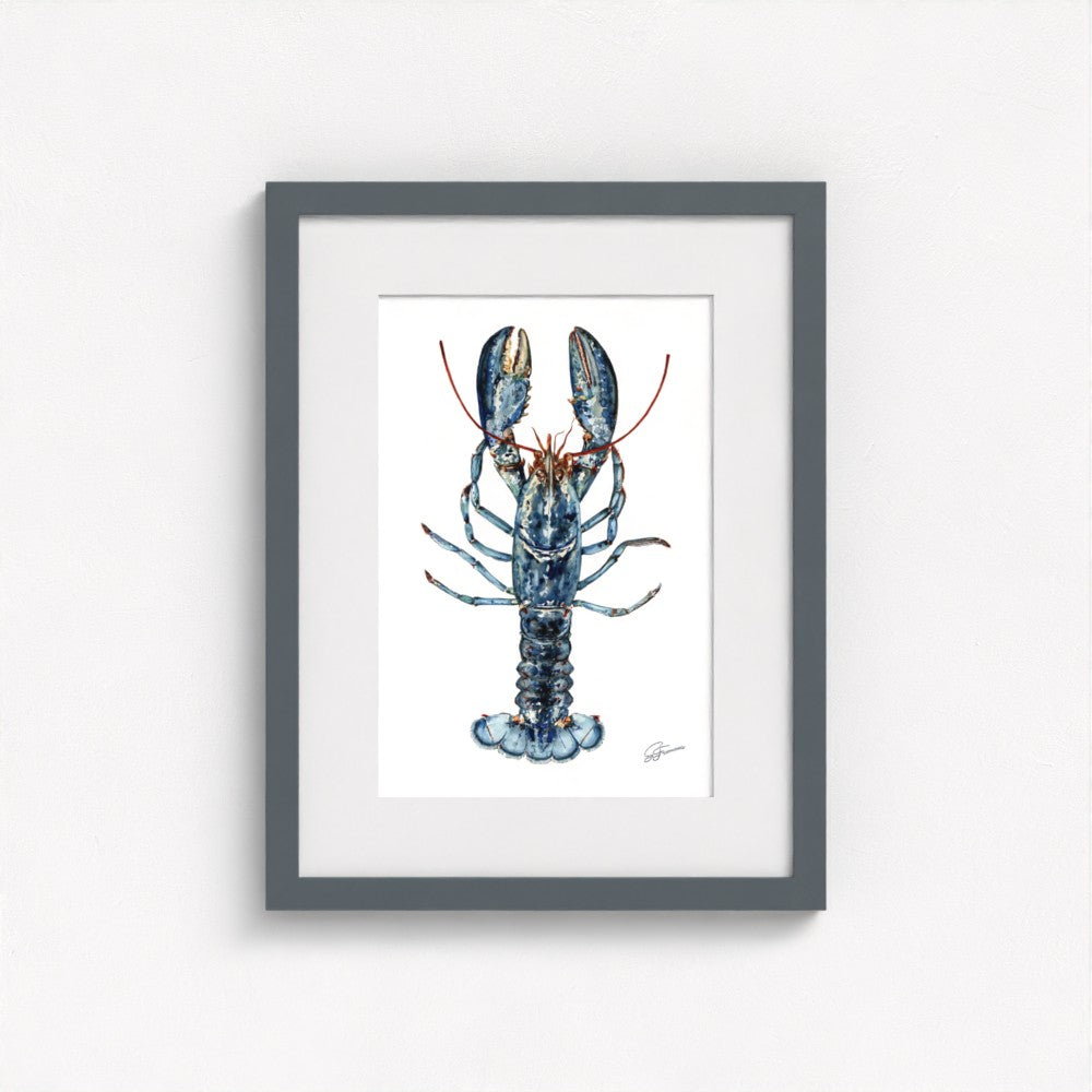 Atlantic Lobster Fine Art Print | Premium Collection