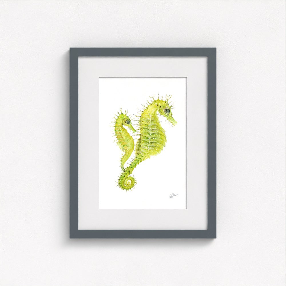 Spiny Seahorse Fine Art Print | Premium Collection