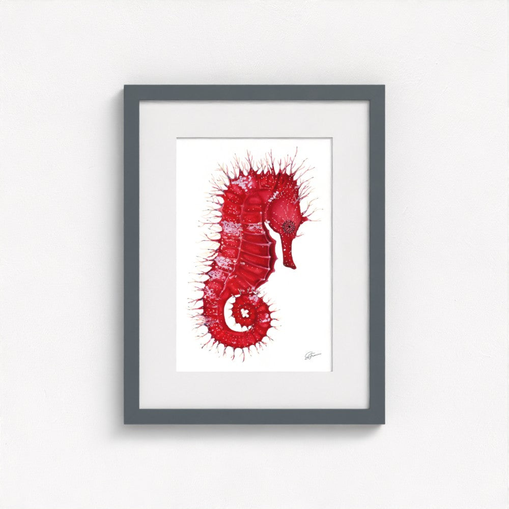 Seahorse Serenade Fine Art Print | Premium Collection