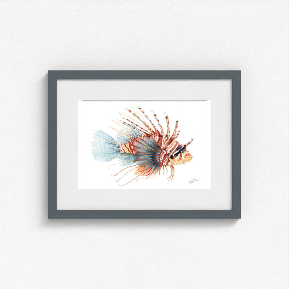 Lionfish Watercolour Fine Art Print | Premium Collection