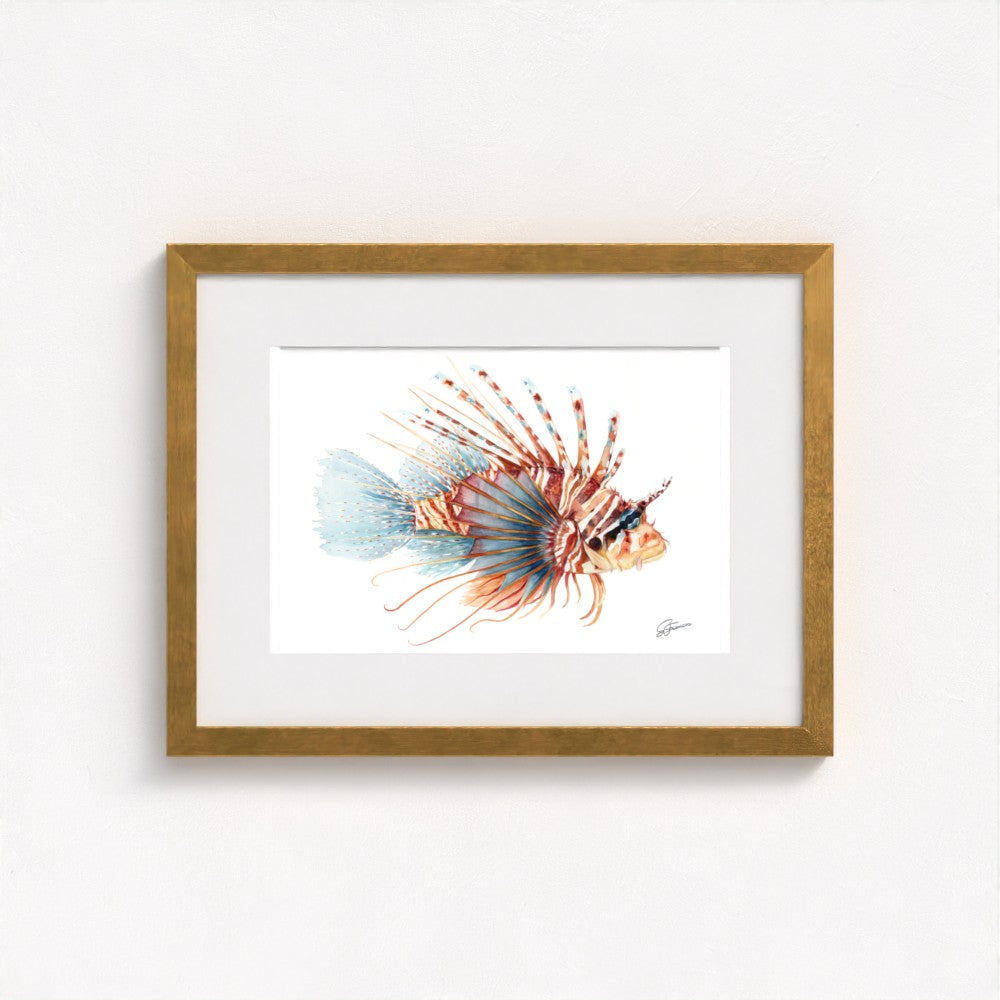 Lionfish Watercolour Fine Art Print | Premium Collection