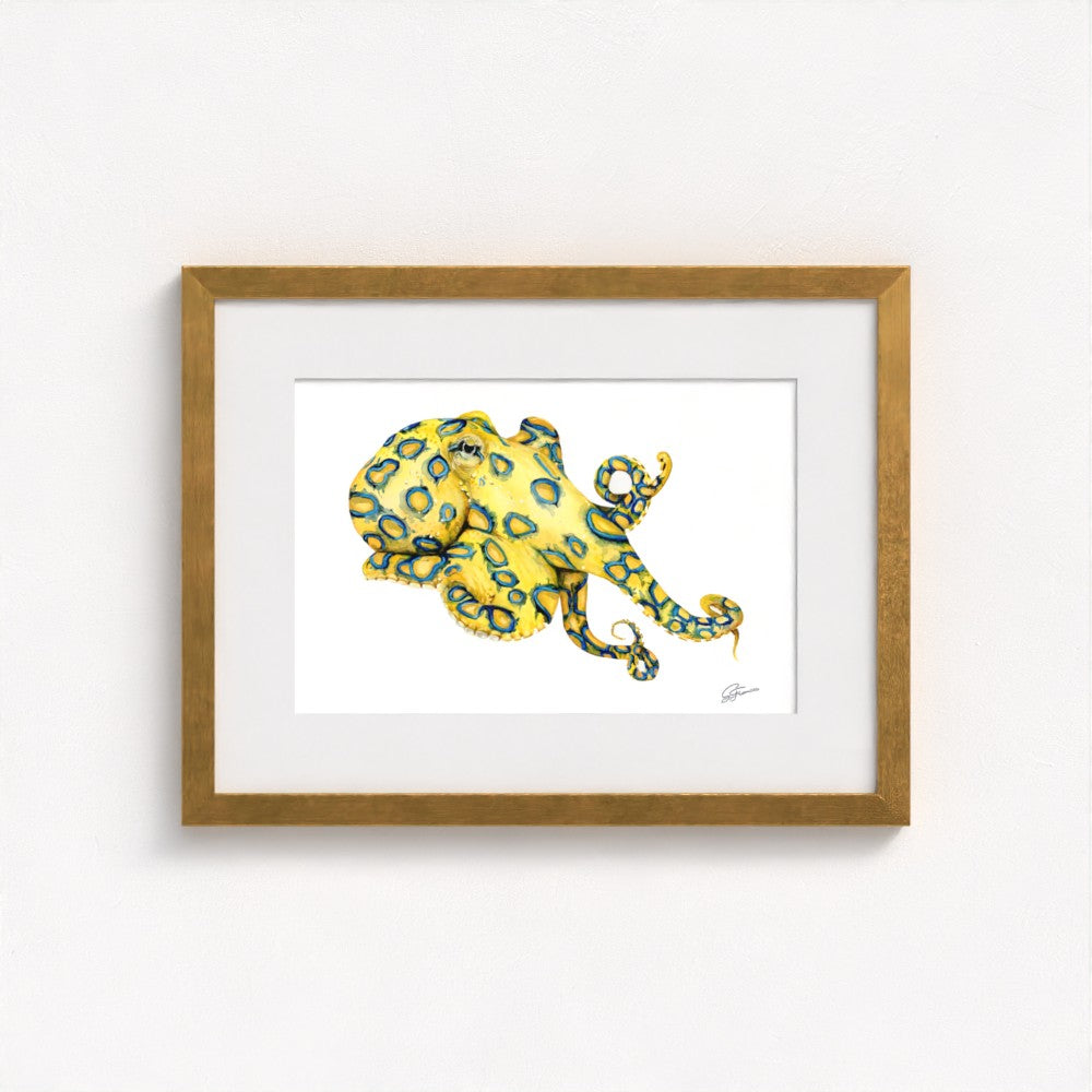 Blue Ringed Octopus Fine Art Print | Premium Collection