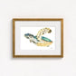 Hawksbill Sea Turtle Fine Art Print | Premium Collection