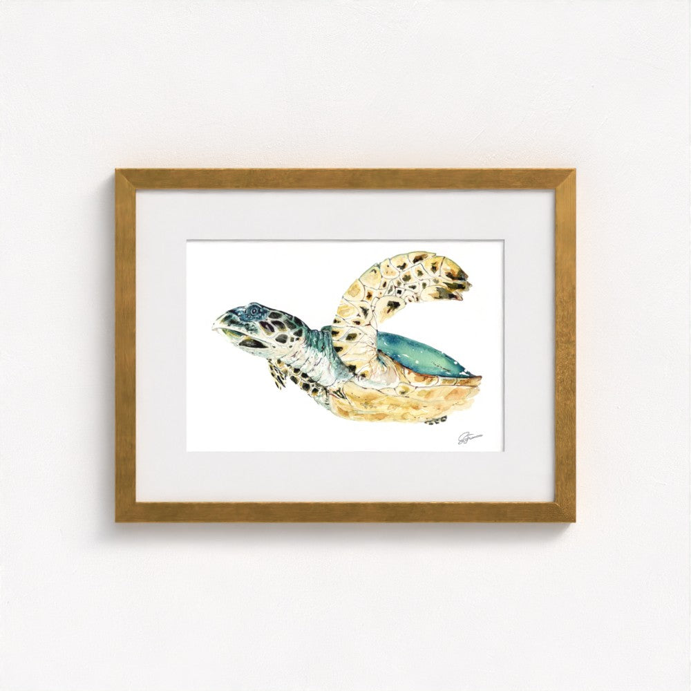 Hawksbill Sea Turtle Fine Art Print | Premium Collection