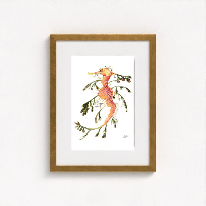 Leafy Seadragon Fine Art Print | Premium Collection