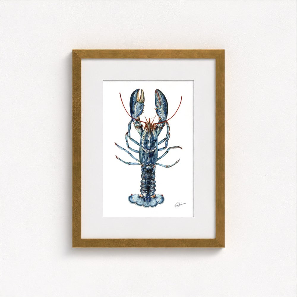 Atlantic Lobster Fine Art Print | Premium Collection