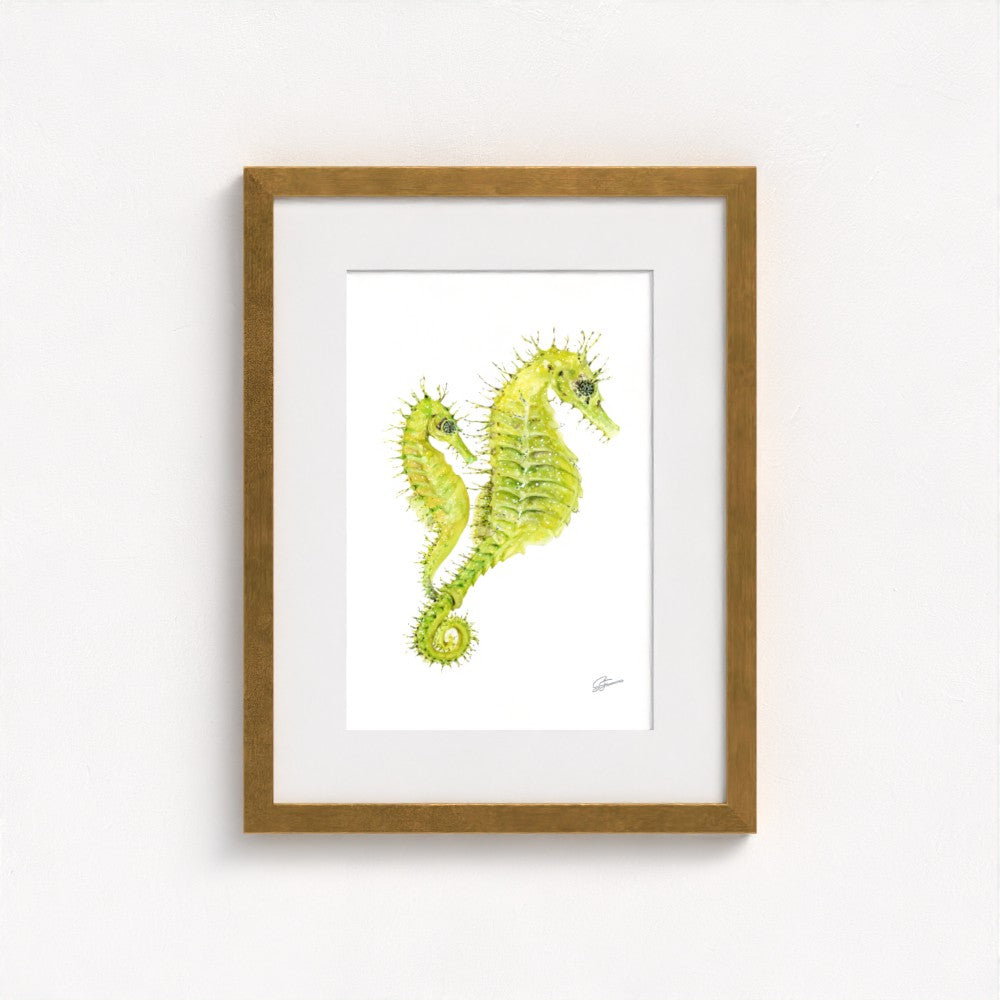 Spiny Seahorse Fine Art Print | Premium Collection