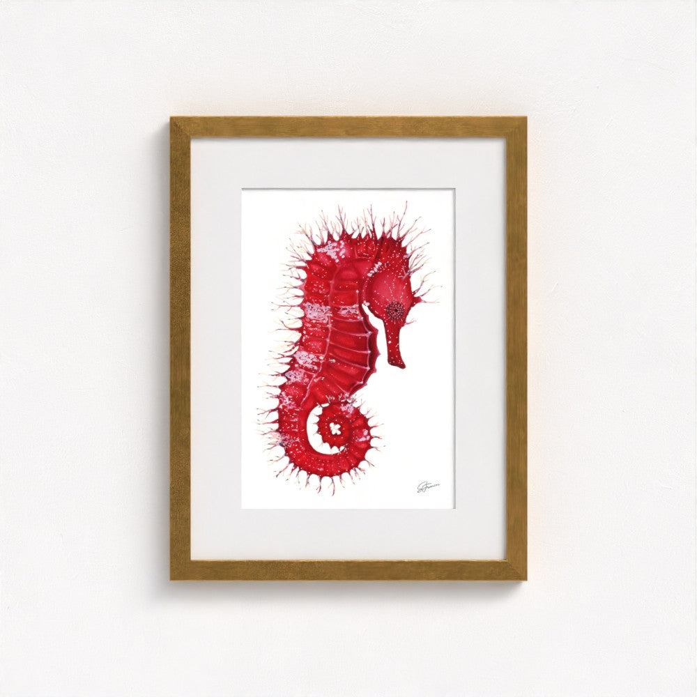 Seahorse Serenade Fine Art Print | Premium Collection