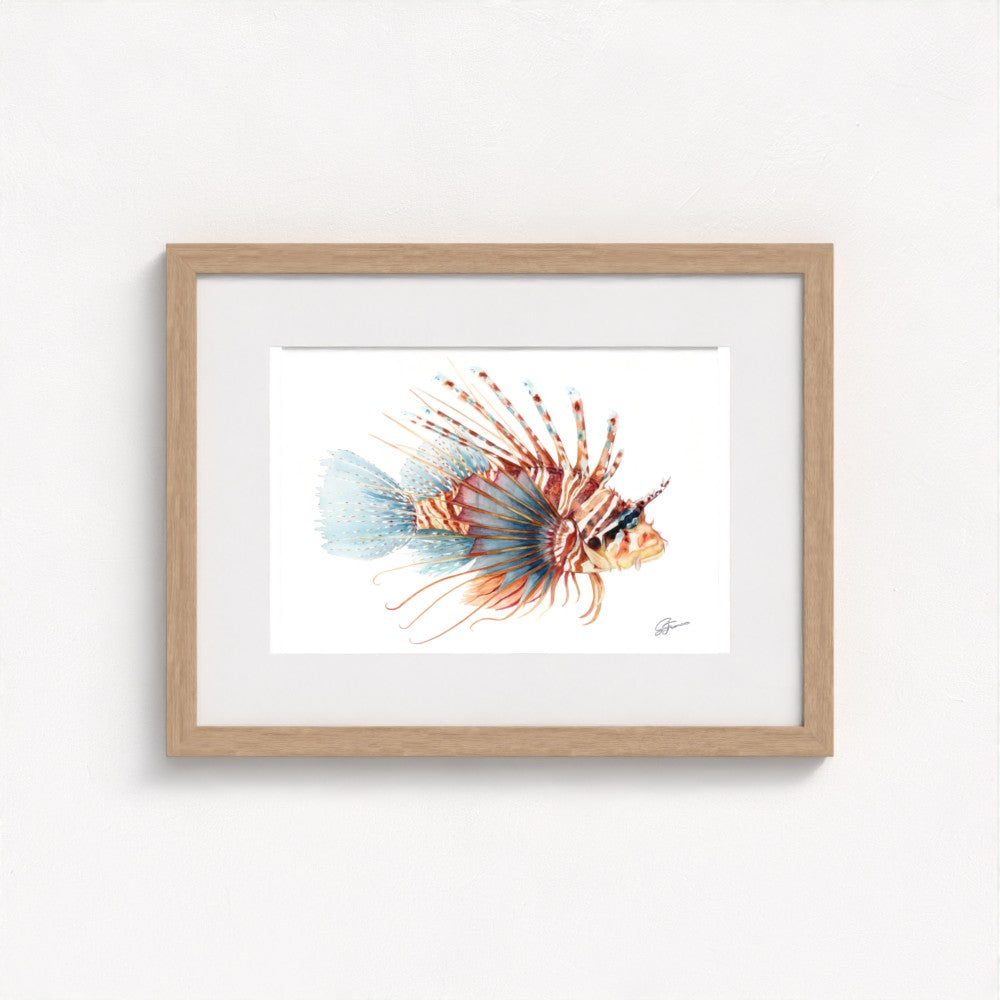 Lionfish Watercolour Fine Art Print | Premium Collection