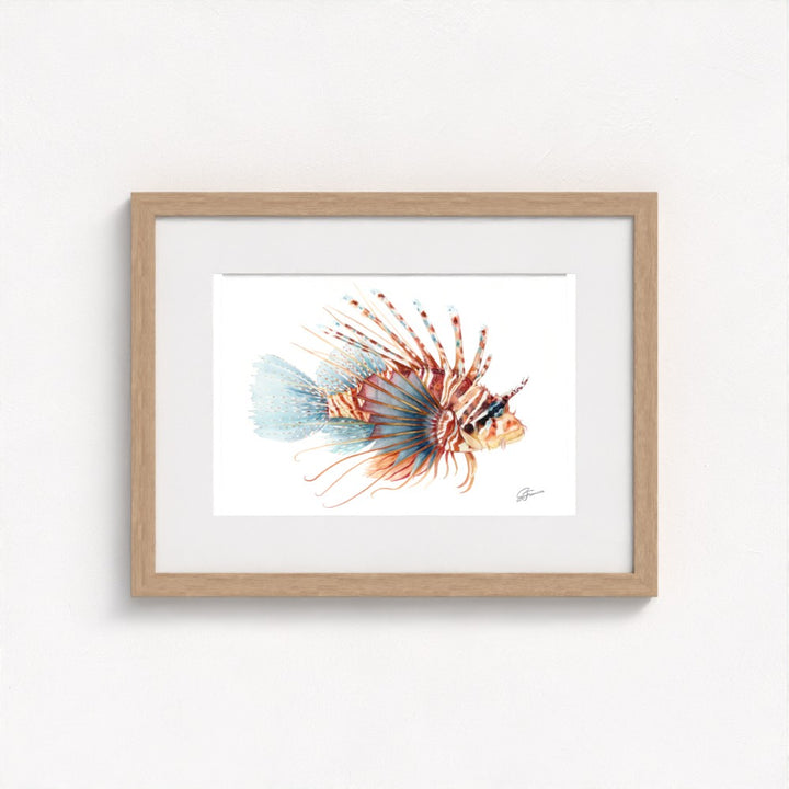 Lionfish Watercolour Fine Art Print | Premium Collection