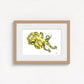 Blue Ringed Octopus Fine Art Print | Premium Collection